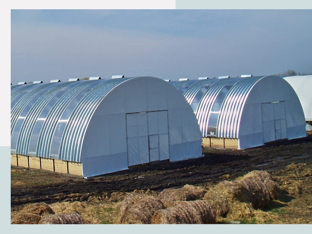 Сельскохозяйственные здания в Балахне