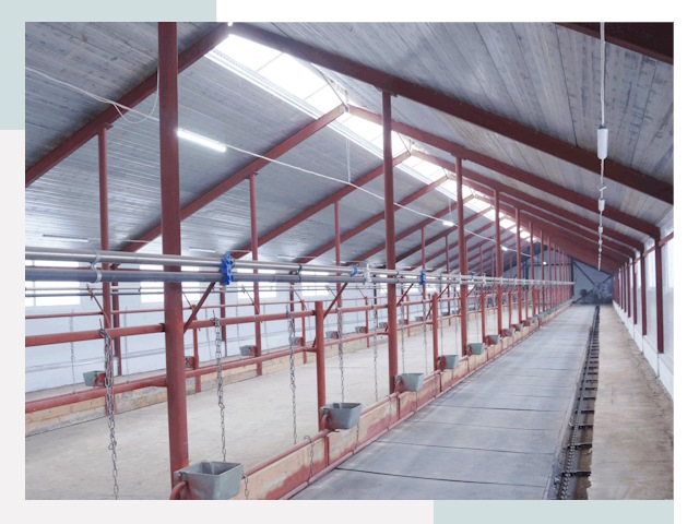 Строительство коровников в Балахне от 627 руб.