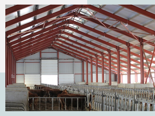 Строительство коровников в Балахне