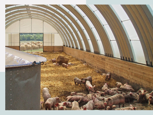 Строительство свинарников в Балахне