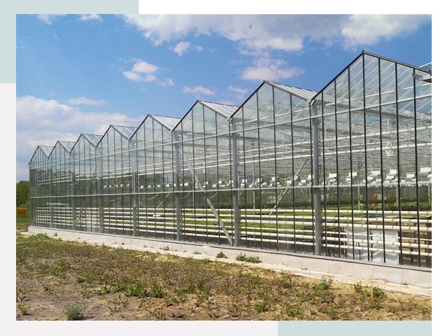 Строительство теплиц в Балахна от 627 руб. за м²