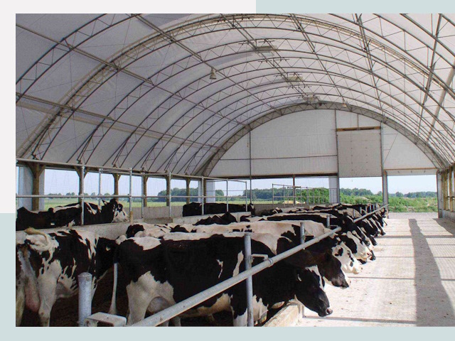 Тентовые коровники в Балахне